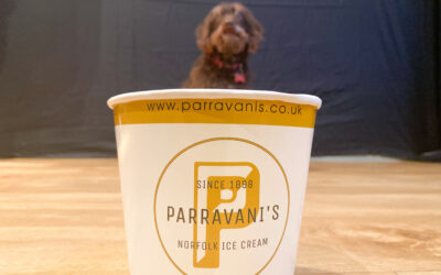 Woof Woof – New Dog Ice Cream