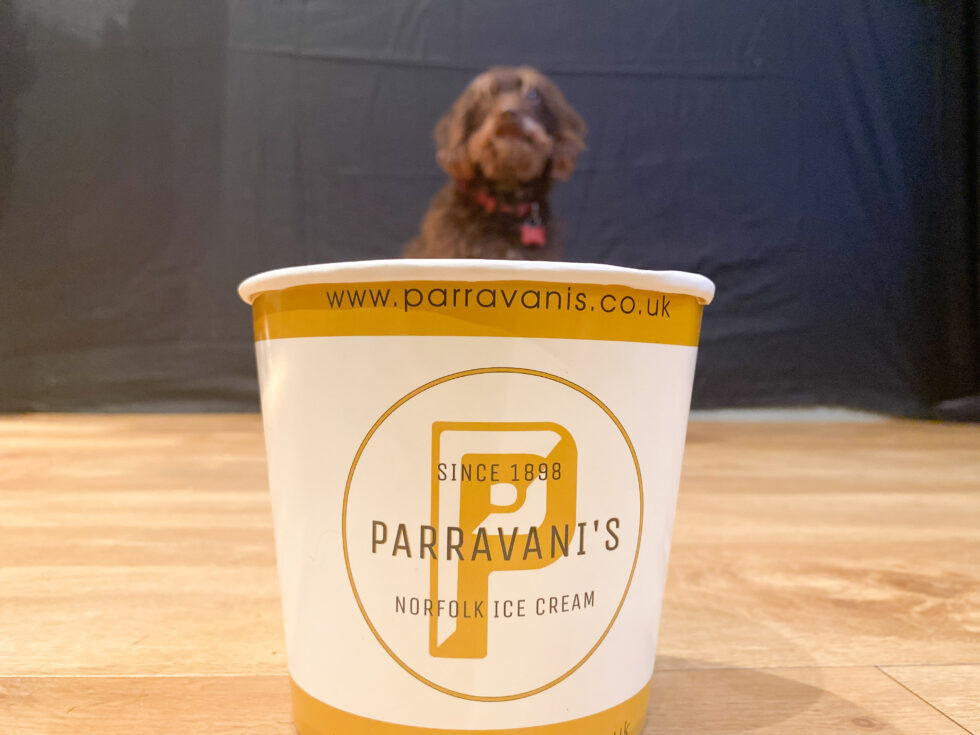 Woof Woof New Dog Ice Cream Parravani's Ice Cream